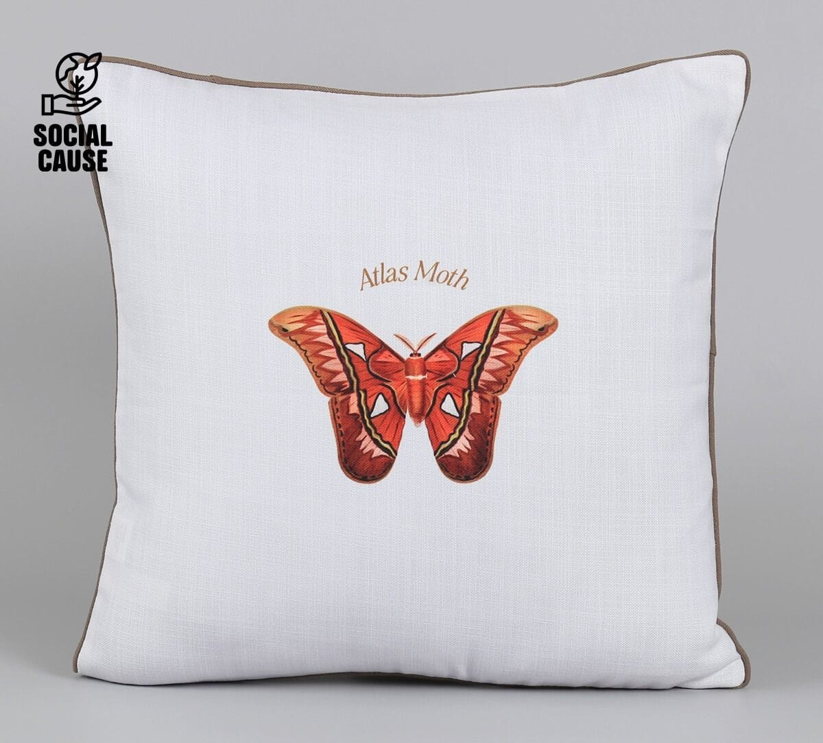 NGCPR Collection-Atlas Moth 16