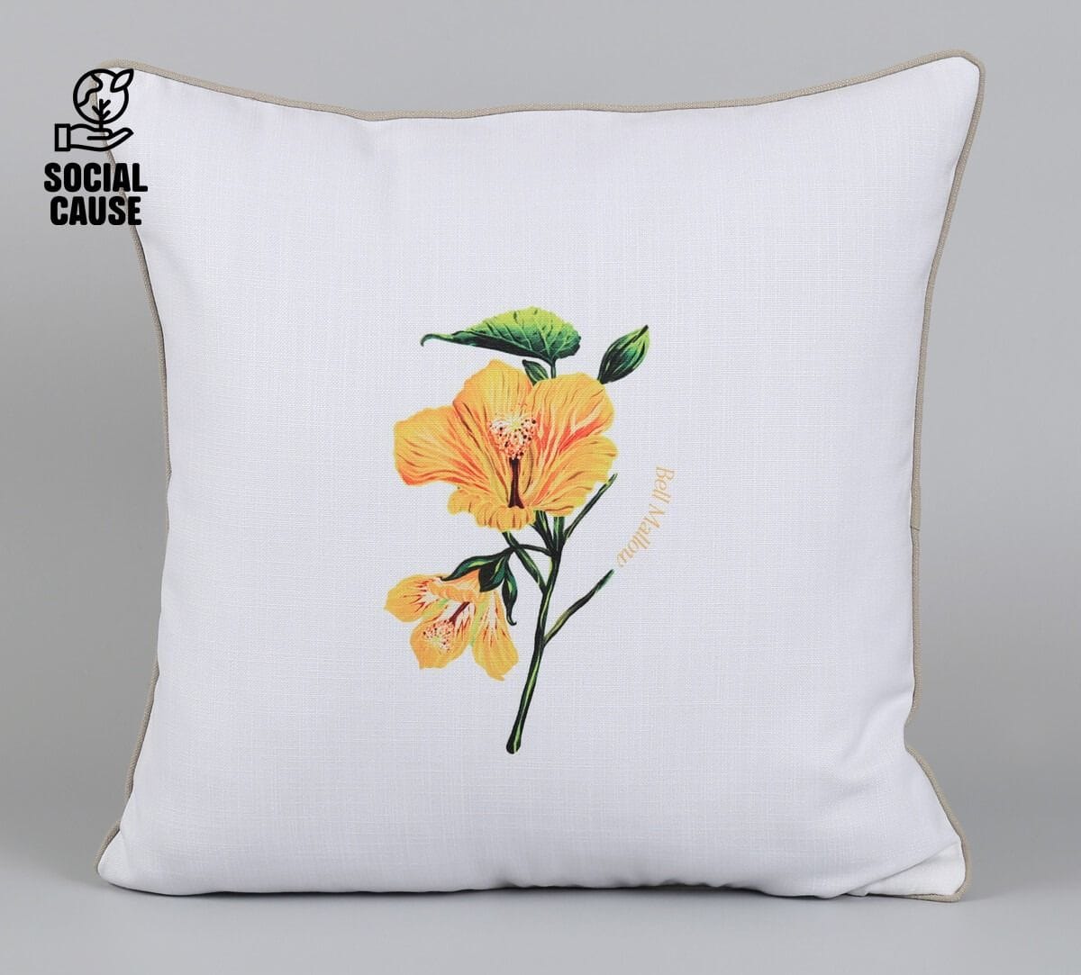 NGCPR Collection-Erinocarpus nimmonii 16