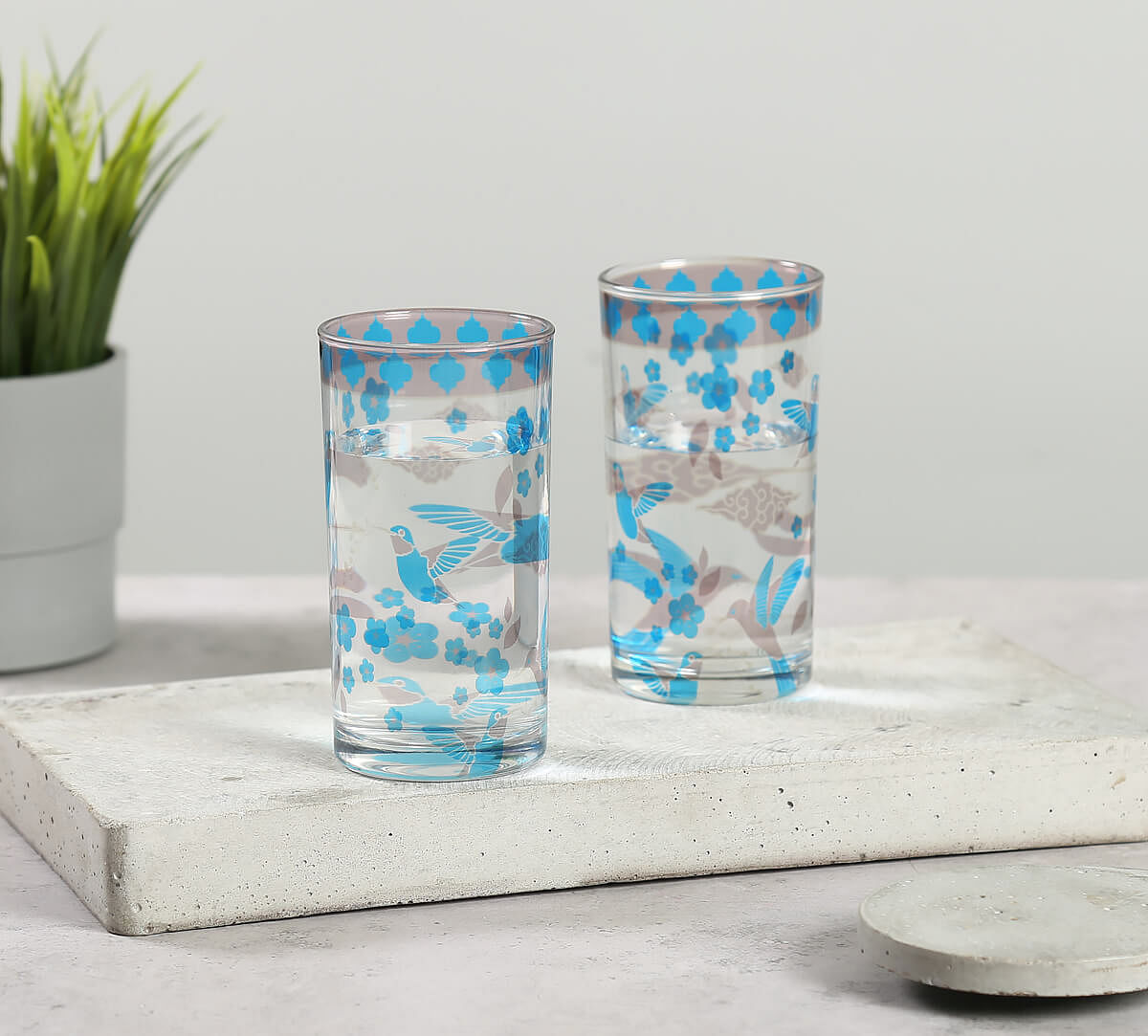 India Circus by Krsnaa Mehta Flock of Birds Glass Tumbler Set of 2