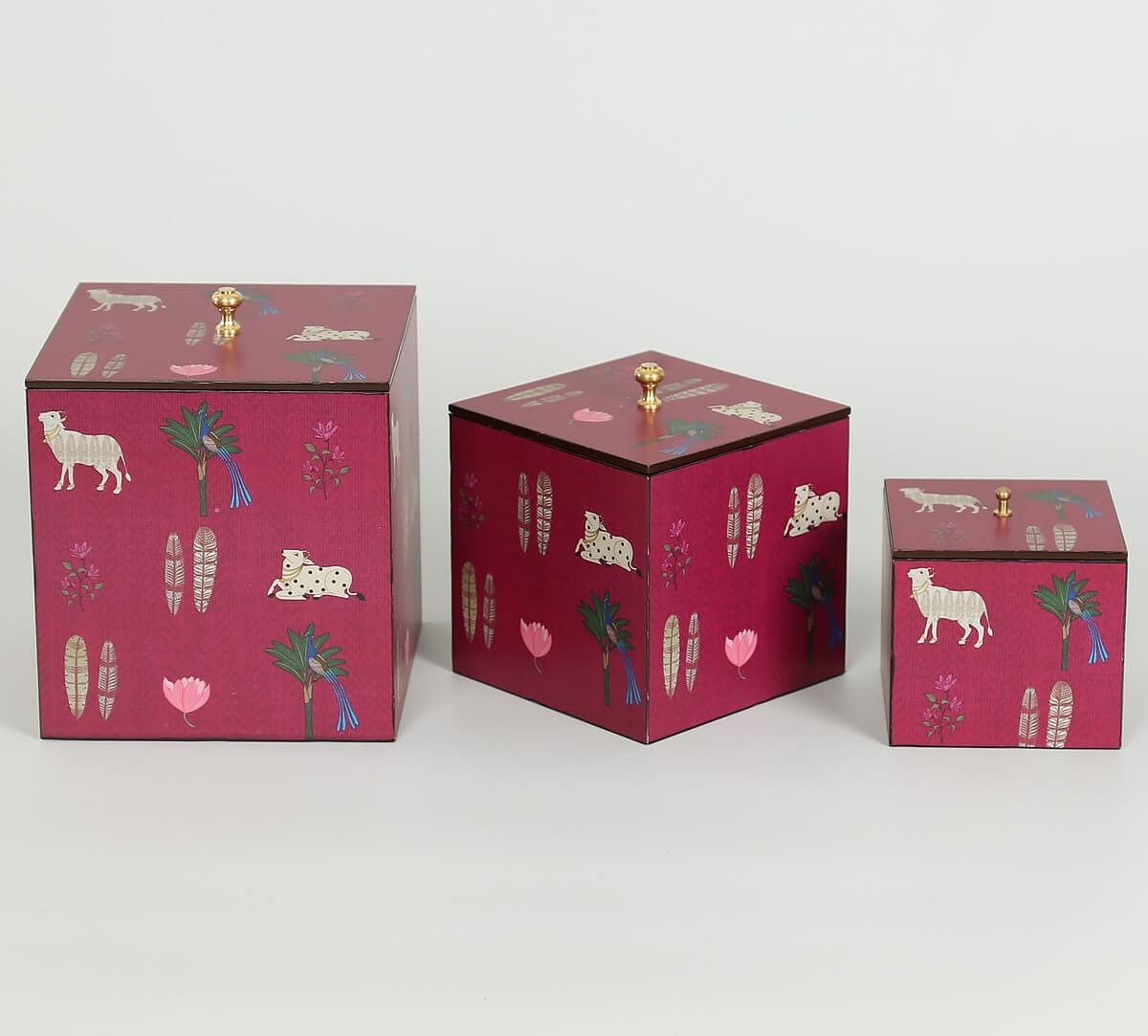 India Circus by Krsnaa Mehta Magenta Biome mystique Storage Box