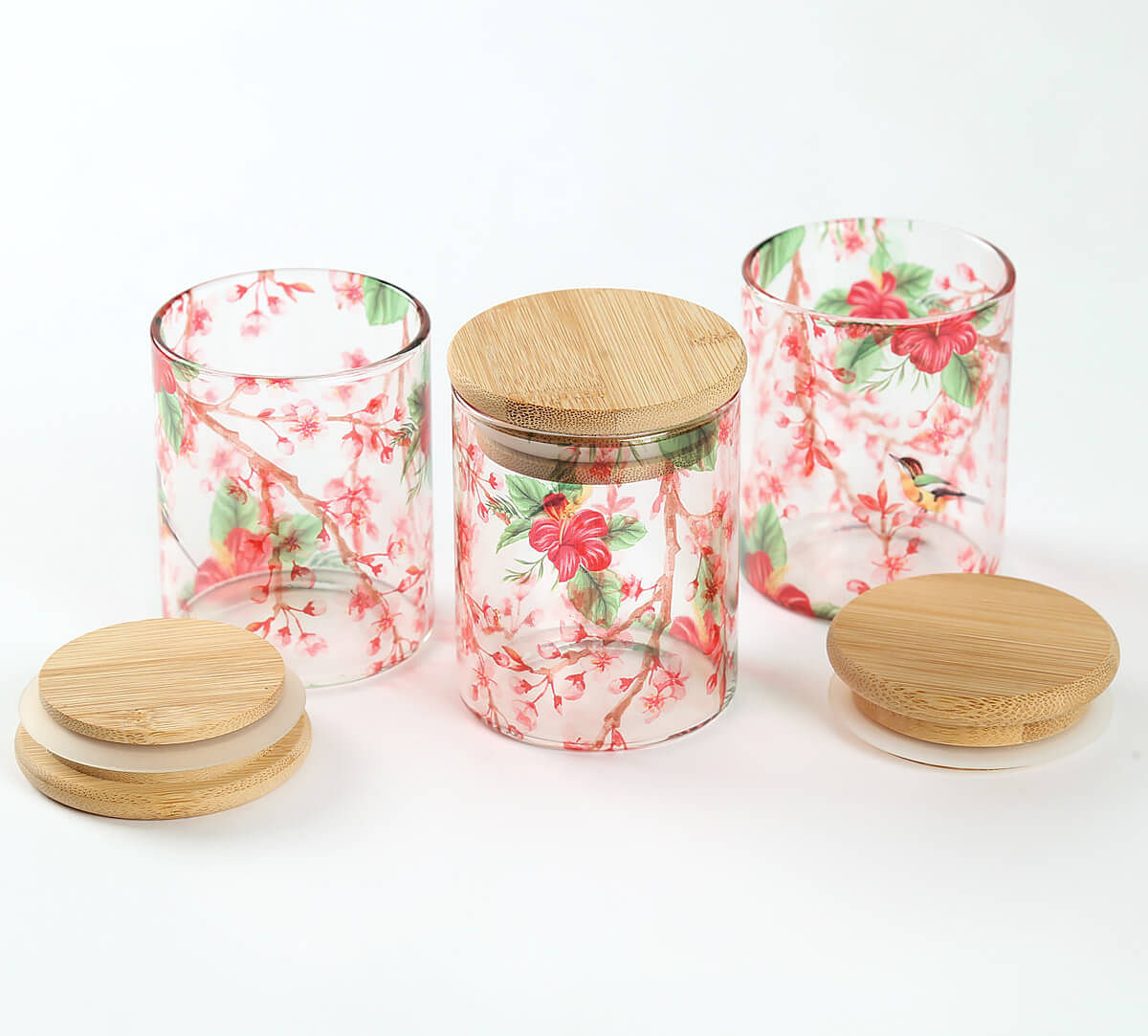 India Circus by Krsnaa Mehta Perching Floral Paradise Glass Jars Set of 3