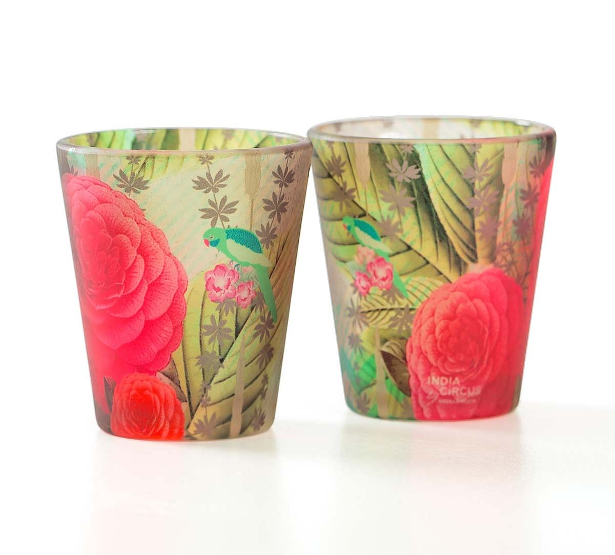 India Circus Herbs of Captivation Shot Glasses Set of 2