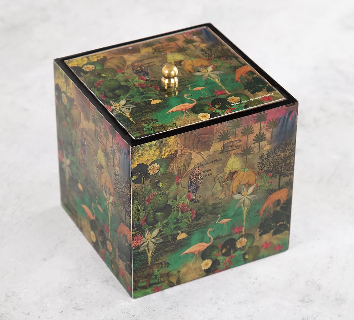 India Circus Mapping Animals Square Storage Box