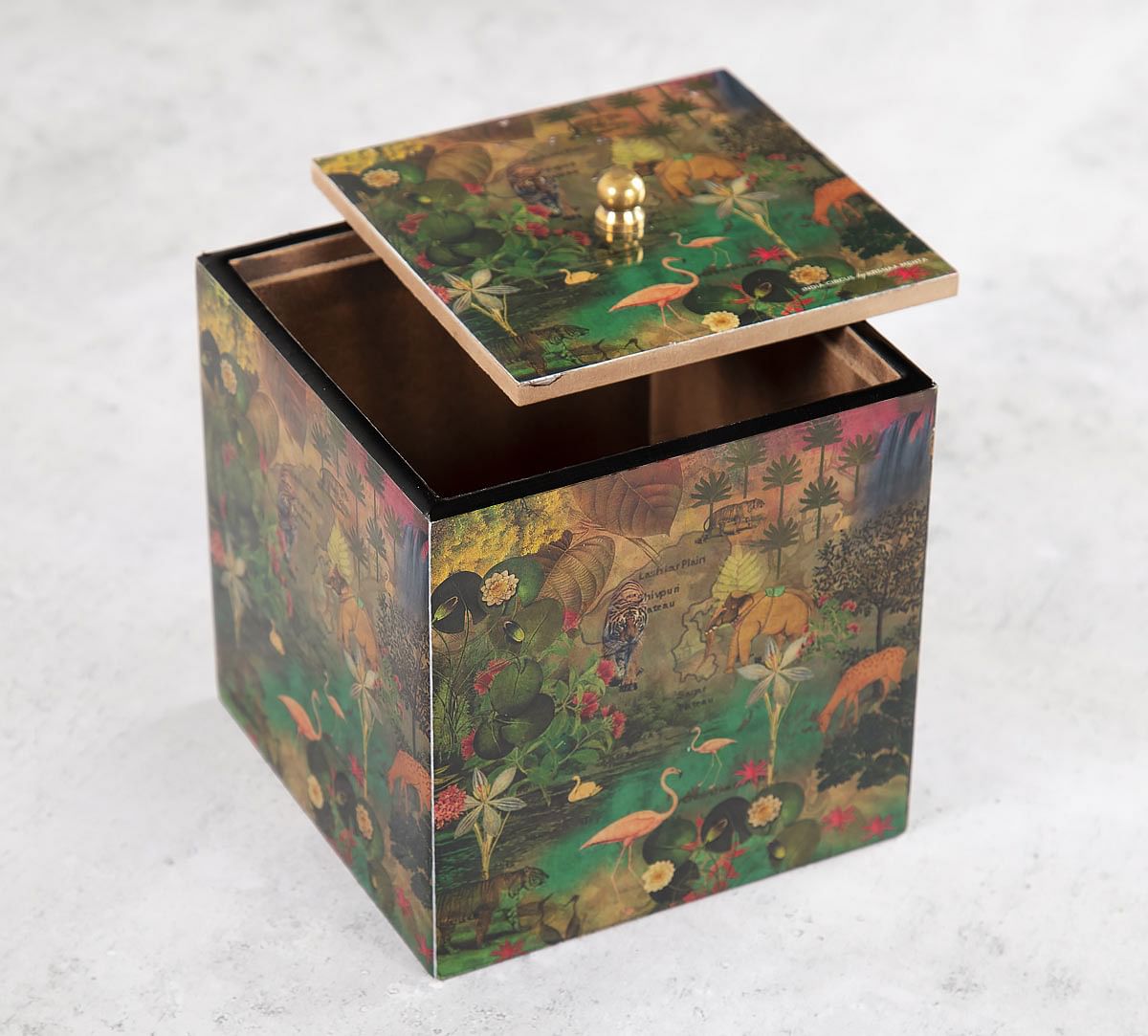 India Circus Mapping Animals Square Storage Box