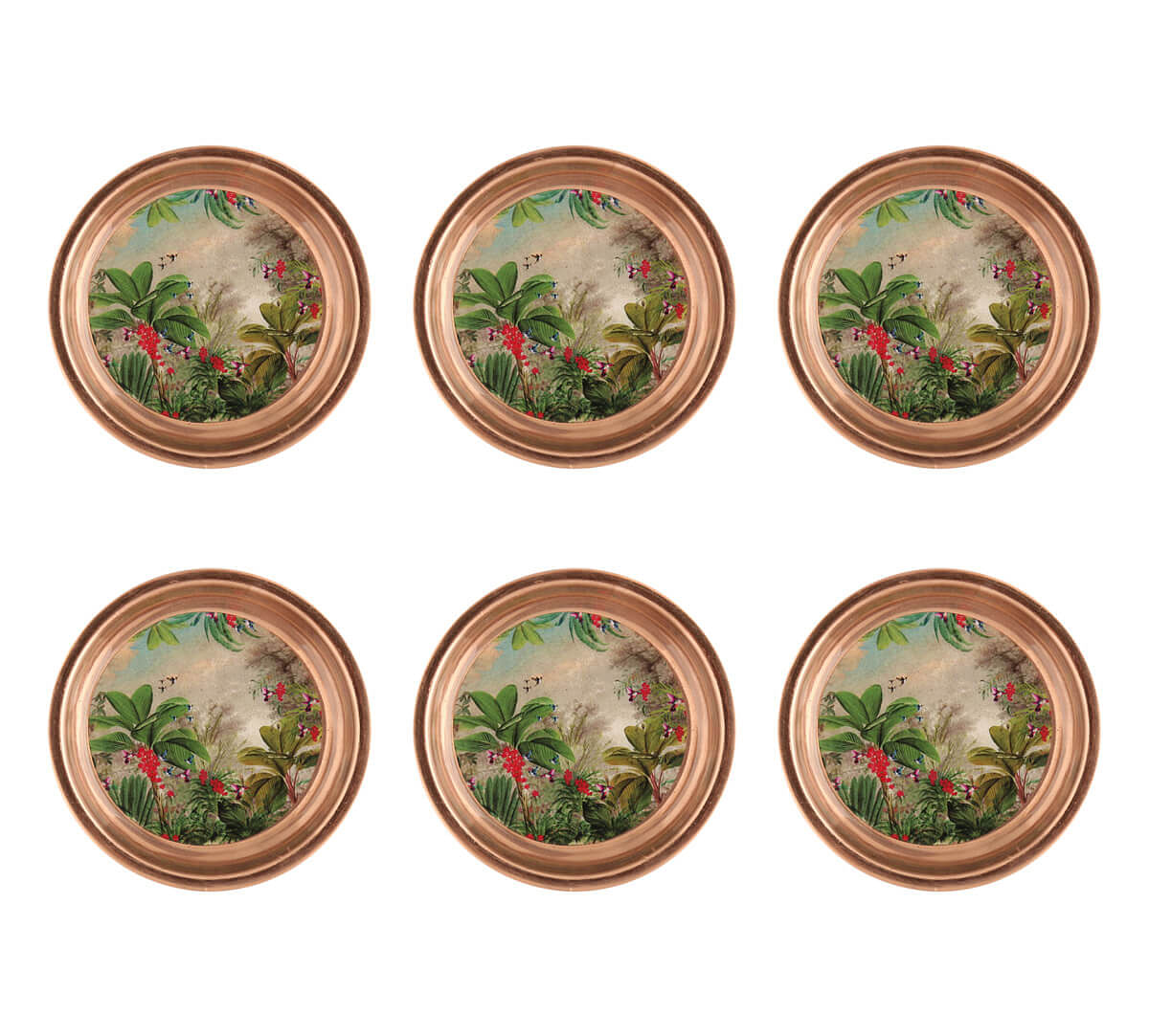 India Circus Tropical View Coaster Set of 6