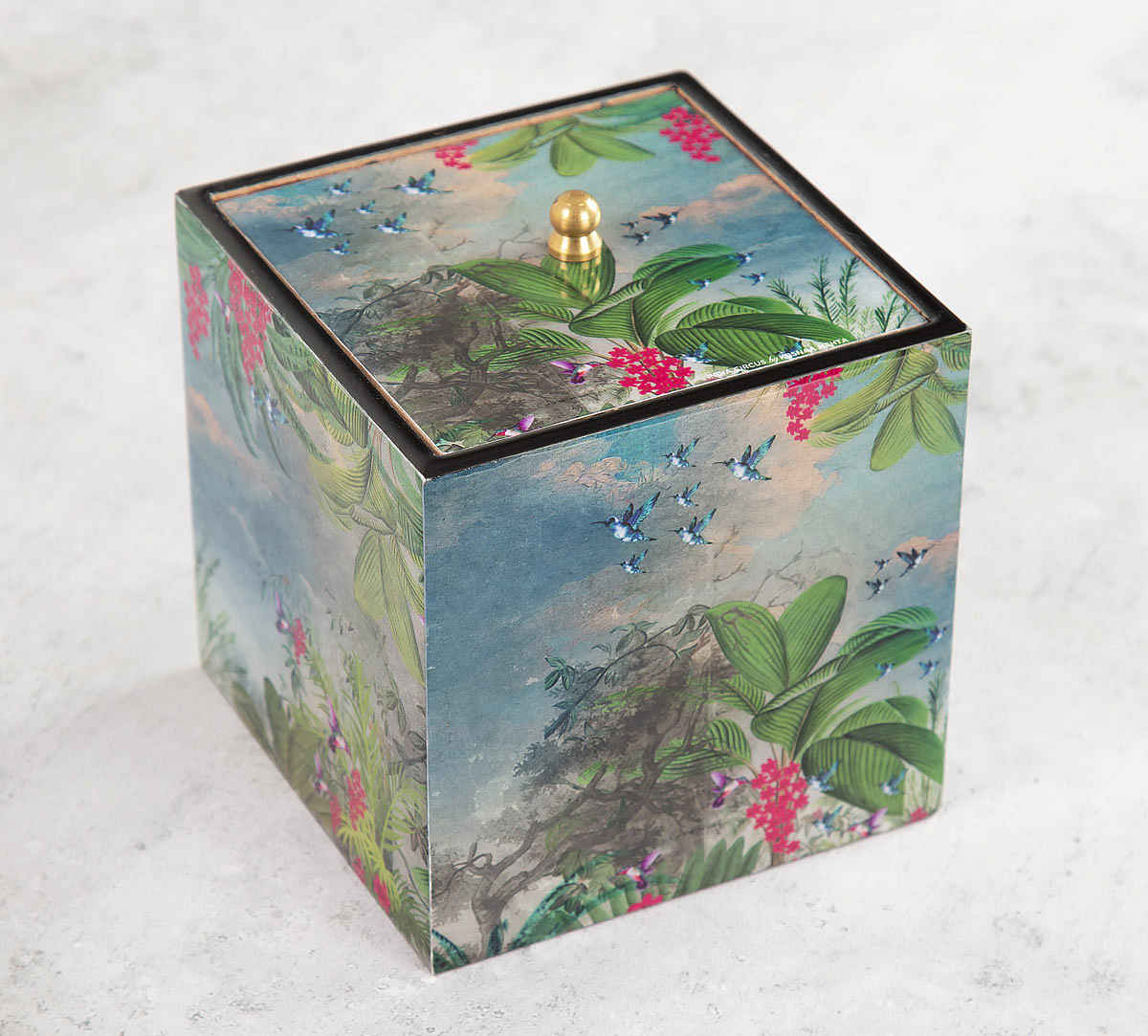 India Circus Tropical View Square Storage Box