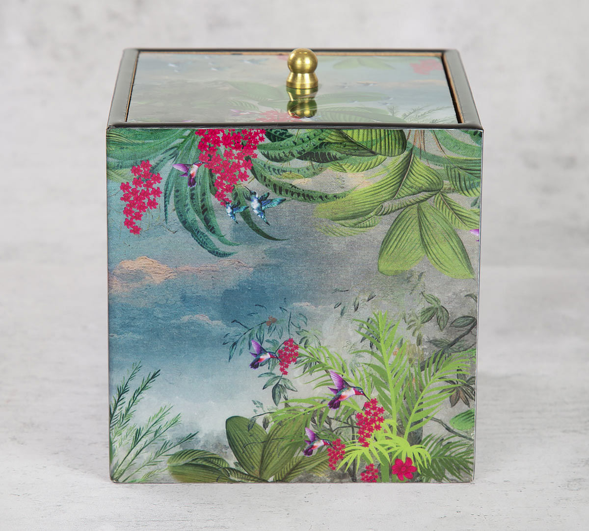 India Circus Tropical View Square Storage Box