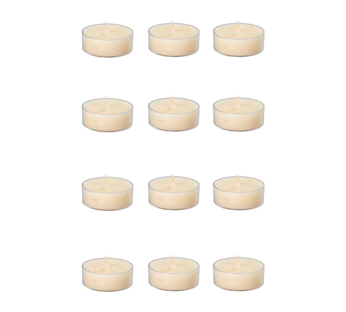 India Circus Vanilla Bean Tea Light candles (Set of 12)