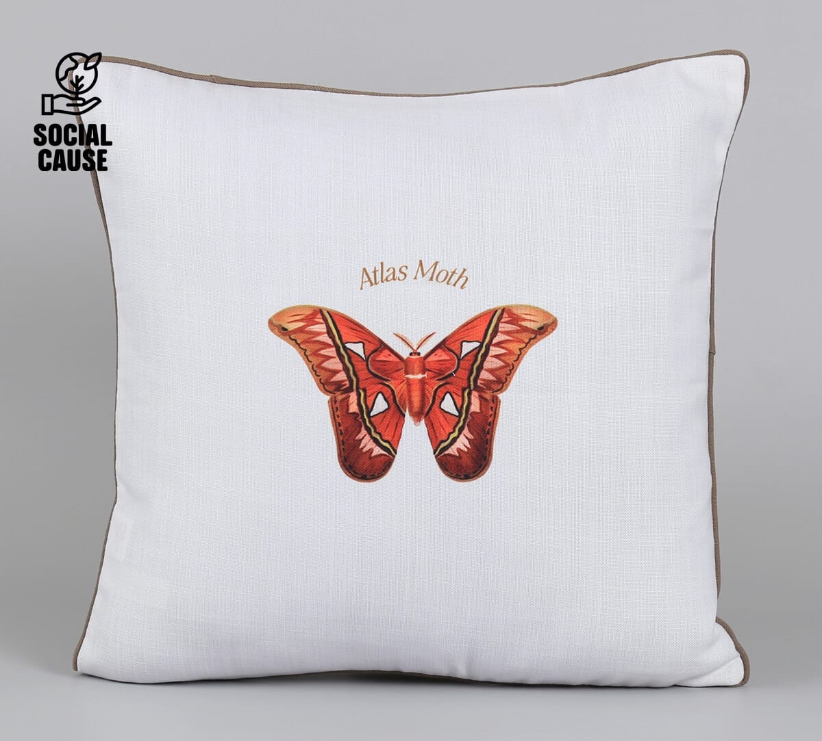 NGCPR Collection-Atlas Moth 16