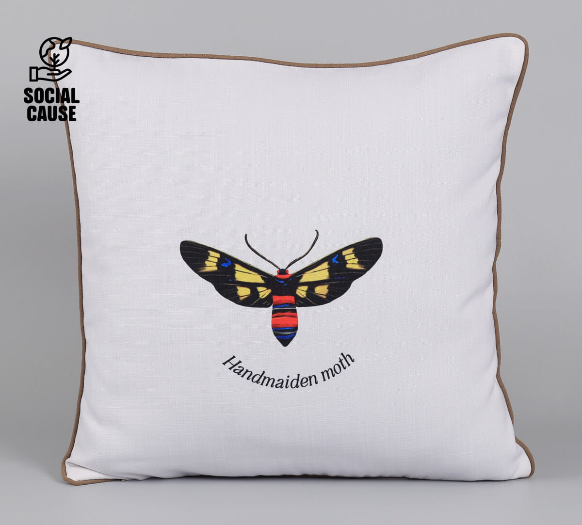 NGCPR Collection-Handmaiden Moth 16