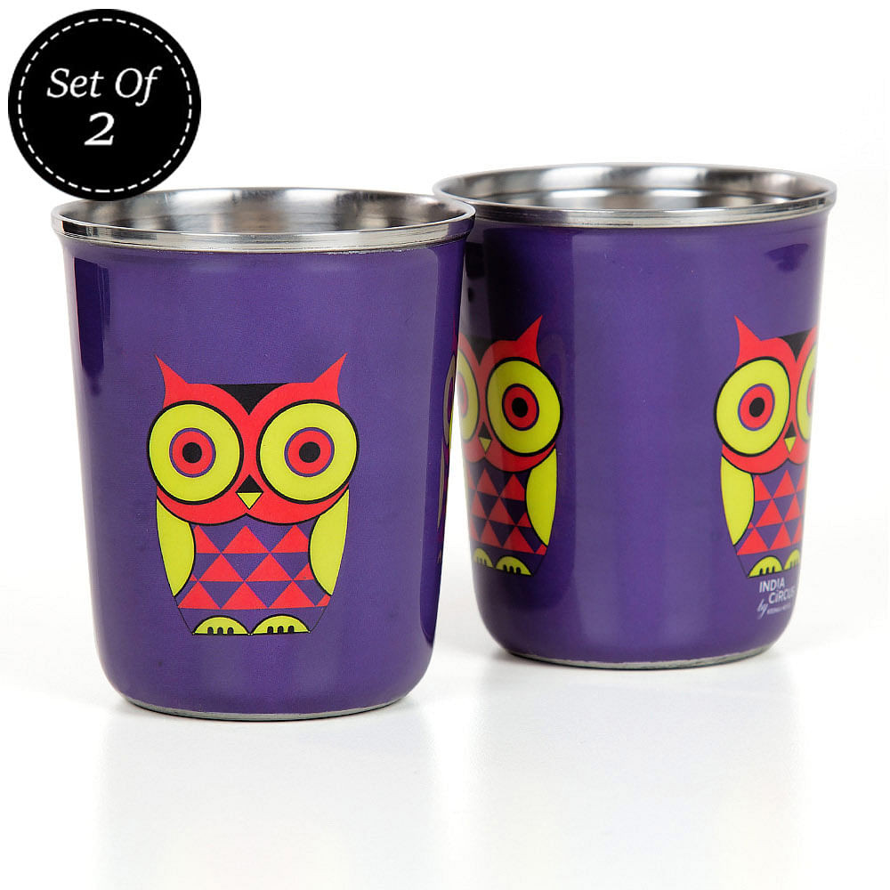 Peeking Owls Small Steel Tumbler (Set of 2)