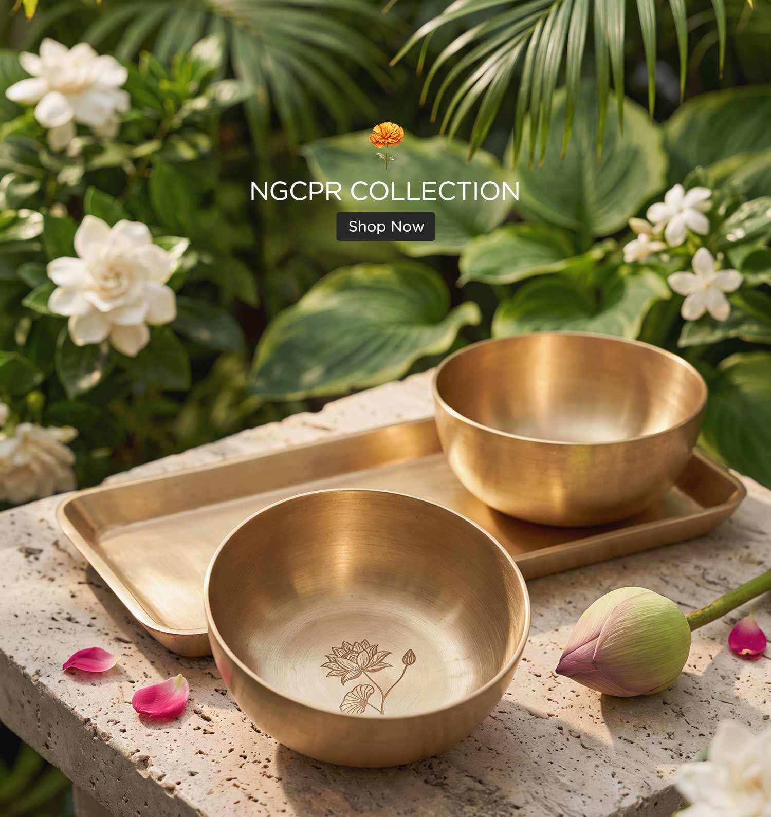 Buy NGCPR Products Online
