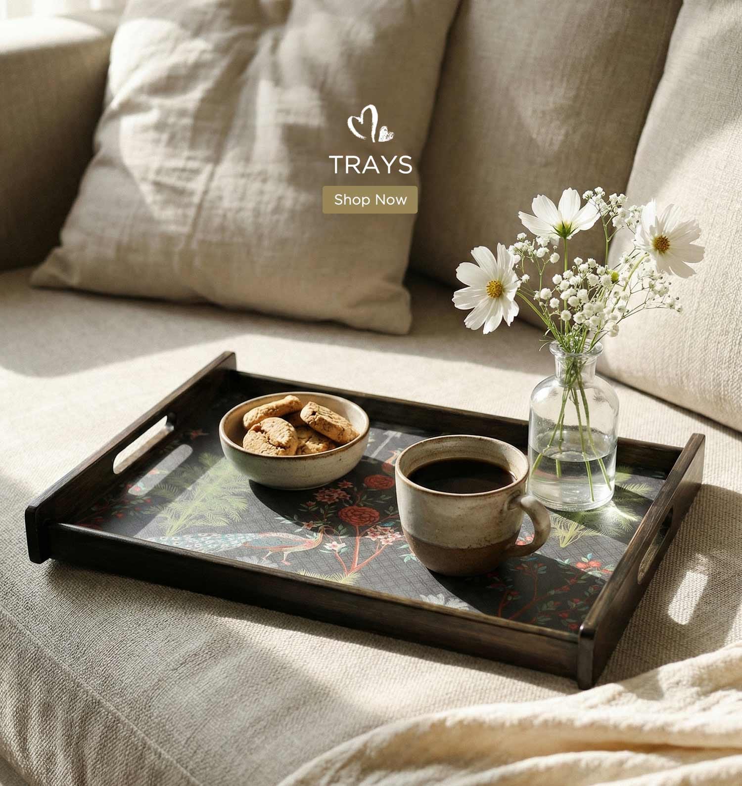 Buy Trays Online
